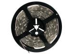 CINTA DE LEDs FLEXIBLE  COLOR BLANCO FRIO  300 LEDs  5m  12V 34Wm