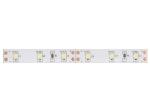 CINTA DE LEDs FLEXIBLE  COLOR ROJO  300 LEDs  5m  12V 4Wm