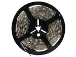 CINTA DE LEDs FLEXIBLE  COLOR BLANCO FRIO  600 LEDs  5m  24V 8Wm