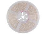 CINTA DE LEDs FLEXIBLE  COLOR BLANCO FRIO 6500K  16W  300 LEDs  5m  12V