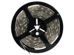 CINTA DE LEDs FLEXIBLE  COLOR BLANCO CALIDO 2700K  60W  300 LEDs  5m  24V