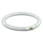 LAMPARA FLUORESCENTE CIRCULAR 22W 4 PINS LUZ DIA