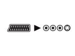 SCART MACHO  2 x RCA AUDIO HEMBRA  1 x RCA VIDEO HEMBRA  1 x SVHS HEMBRA