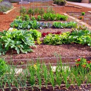 KIT ESPECIAL HUERTO RIEGO EXUDANTE BAJA PRESION 12m2