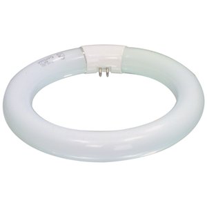 TUBO FLUORESCENTE CIRCULAR 22W LUZ DIA