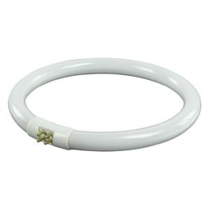 LAMPARA FLUORESCENTE CIRCULAR 22W 4 PINS LUZ DIA